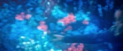 Filename=extant_StarTrekDiscovery_2x05-SaintsOfImperfection_02806.jpg
Filesize=107KiB
Dimensions=1920x800
Date added=Dec 08, 2019 extant_StarTrekDiscovery_2x05-SaintsOfImperfection_02806.jpg