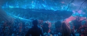 Filename=extant_StarTrekDiscovery_2x05-SaintsOfImperfection_02816.jpg
Filesize=168KiB
Dimensions=1920x800
Date added=Dec 08, 2019 extant_StarTrekDiscovery_2x05-SaintsOfImperfection_02816.jpg