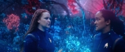 Filename=extant_StarTrekDiscovery_2x05-SaintsOfImperfection_02850.jpg
Filesize=170KiB
Dimensions=1920x800
Date added=Dec 08, 2019 extant_StarTrekDiscovery_2x05-SaintsOfImperfection_02850.jpg