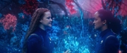 Filename=extant_StarTrekDiscovery_2x05-SaintsOfImperfection_02851.jpg
Filesize=174KiB
Dimensions=1920x800
Date added=Dec 08, 2019 extant_StarTrekDiscovery_2x05-SaintsOfImperfection_02851.jpg