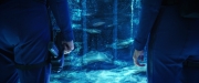 Filename=extant_StarTrekDiscovery_2x05-SaintsOfImperfection_03009.jpg
Filesize=187KiB
Dimensions=1920x800
Date added=Dec 08, 2019 extant_StarTrekDiscovery_2x05-SaintsOfImperfection_03009.jpg