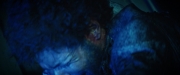 Filename=extant_StarTrekDiscovery_2x05-SaintsOfImperfection_03407.jpg
Filesize=103KiB
Dimensions=1920x800
Date added=Dec 08, 2019 extant_StarTrekDiscovery_2x05-SaintsOfImperfection_03407.jpg