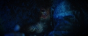 Filename=extant_StarTrekDiscovery_2x05-SaintsOfImperfection_03408.jpg
Filesize=107KiB
Dimensions=1920x800
Date added=Dec 08, 2019 extant_StarTrekDiscovery_2x05-SaintsOfImperfection_03408.jpg