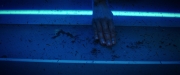 Filename=extant_StarTrekDiscovery_2x05-SaintsOfImperfection_03590.jpg
Filesize=116KiB
Dimensions=1920x800
Date added=Dec 08, 2019 extant_StarTrekDiscovery_2x05-SaintsOfImperfection_03590.jpg