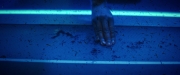 Filename=extant_StarTrekDiscovery_2x05-SaintsOfImperfection_03591.jpg
Filesize=130KiB
Dimensions=1920x800
Date added=Dec 08, 2019 extant_StarTrekDiscovery_2x05-SaintsOfImperfection_03591.jpg