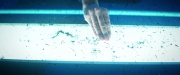 Filename=extant_StarTrekDiscovery_2x05-SaintsOfImperfection_03592.jpg
Filesize=142KiB
Dimensions=1920x800
Date added=Dec 08, 2019 extant_StarTrekDiscovery_2x05-SaintsOfImperfection_03592.jpg