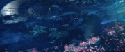 Filename=extant_StarTrekDiscovery_2x05-SaintsOfImperfection_03651.jpg
Filesize=168KiB
Dimensions=1920x800
Date added=Dec 08, 2019 extant_StarTrekDiscovery_2x05-SaintsOfImperfection_03651.jpg