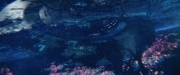 Filename=extant_StarTrekDiscovery_2x05-SaintsOfImperfection_03654.jpg
Filesize=158KiB
Dimensions=1920x800
Date added=Dec 08, 2019 extant_StarTrekDiscovery_2x05-SaintsOfImperfection_03654.jpg