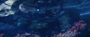 Filename=extant_StarTrekDiscovery_2x05-SaintsOfImperfection_03655.jpg
Filesize=166KiB
Dimensions=1920x800
Date added=Dec 08, 2019 extant_StarTrekDiscovery_2x05-SaintsOfImperfection_03655.jpg