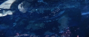 Filename=extant_StarTrekDiscovery_2x05-SaintsOfImperfection_03656.jpg
Filesize=135KiB
Dimensions=1920x800
Date added=Dec 08, 2019 extant_StarTrekDiscovery_2x05-SaintsOfImperfection_03656.jpg