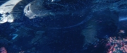 Filename=extant_StarTrekDiscovery_2x05-SaintsOfImperfection_03657.jpg
Filesize=136KiB
Dimensions=1920x800
Date added=Dec 08, 2019 extant_StarTrekDiscovery_2x05-SaintsOfImperfection_03657.jpg