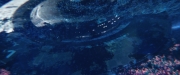 Filename=extant_StarTrekDiscovery_2x05-SaintsOfImperfection_03658.jpg
Filesize=153KiB
Dimensions=1920x800
Date added=Dec 08, 2019 extant_StarTrekDiscovery_2x05-SaintsOfImperfection_03658.jpg
