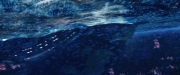 extant_StarTrekDiscovery_2x05-SaintsOfImperfection_03665.jpg