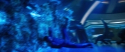 Filename=extant_StarTrekDiscovery_2x05-SaintsOfImperfection_03721.jpg
Filesize=129KiB
Dimensions=1920x800
Date added=Dec 08, 2019 extant_StarTrekDiscovery_2x05-SaintsOfImperfection_03721.jpg