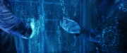 Filename=extant_StarTrekDiscovery_2x05-SaintsOfImperfection_04567.jpg
Filesize=191KiB
Dimensions=1920x800
Date added=Dec 08, 2019 extant_StarTrekDiscovery_2x05-SaintsOfImperfection_04567.jpg