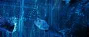 Filename=extant_StarTrekDiscovery_2x05-SaintsOfImperfection_04568.jpg
Filesize=184KiB
Dimensions=1920x800
Date added=Dec 08, 2019 extant_StarTrekDiscovery_2x05-SaintsOfImperfection_04568.jpg