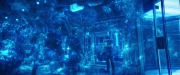 Filename=extant_StarTrekDiscovery_2x05-SaintsOfImperfection_04715.jpg
Filesize=212KiB
Dimensions=1920x800
Date added=Dec 08, 2019 extant_StarTrekDiscovery_2x05-SaintsOfImperfection_04715.jpg
