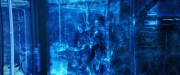 Filename=extant_StarTrekDiscovery_2x05-SaintsOfImperfection_04992.jpg
Filesize=258KiB
Dimensions=1920x800
Date added=Dec 08, 2019 extant_StarTrekDiscovery_2x05-SaintsOfImperfection_04992.jpg
