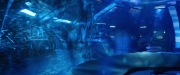 Filename=extant_StarTrekDiscovery_2x05-SaintsOfImperfection_05088.jpg
Filesize=153KiB
Dimensions=1920x800
Date added=Dec 08, 2019 extant_StarTrekDiscovery_2x05-SaintsOfImperfection_05088.jpg