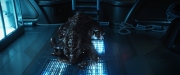 Filename=extant_StarTrekDiscovery_2x05-SaintsOfImperfection_05239.jpg
Filesize=192KiB
Dimensions=1920x800
Date added=Dec 08, 2019 extant_StarTrekDiscovery_2x05-SaintsOfImperfection_05239.jpg