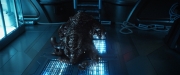 Filename=extant_StarTrekDiscovery_2x05-SaintsOfImperfection_05240.jpg
Filesize=195KiB
Dimensions=1920x800
Date added=Dec 08, 2019 extant_StarTrekDiscovery_2x05-SaintsOfImperfection_05240.jpg