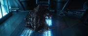 Filename=extant_StarTrekDiscovery_2x05-SaintsOfImperfection_05241.jpg
Filesize=206KiB
Dimensions=1920x800
Date added=Dec 08, 2019 extant_StarTrekDiscovery_2x05-SaintsOfImperfection_05241.jpg
