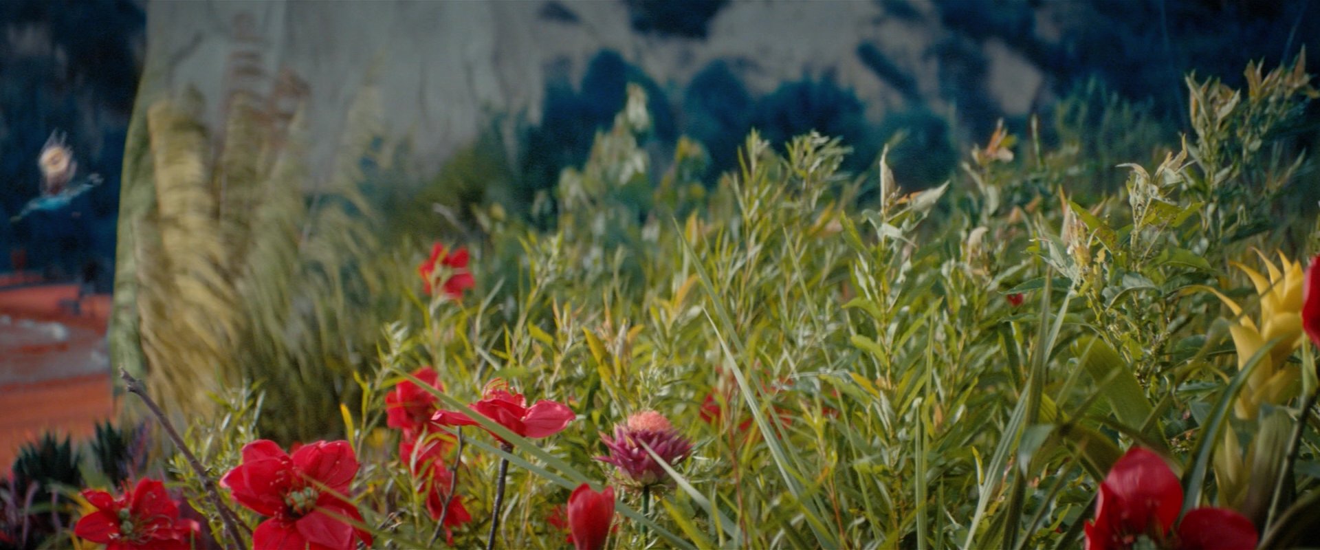 extant_StarTrekDiscovery_2x06-TheSoundsOfThunder_00168.jpg