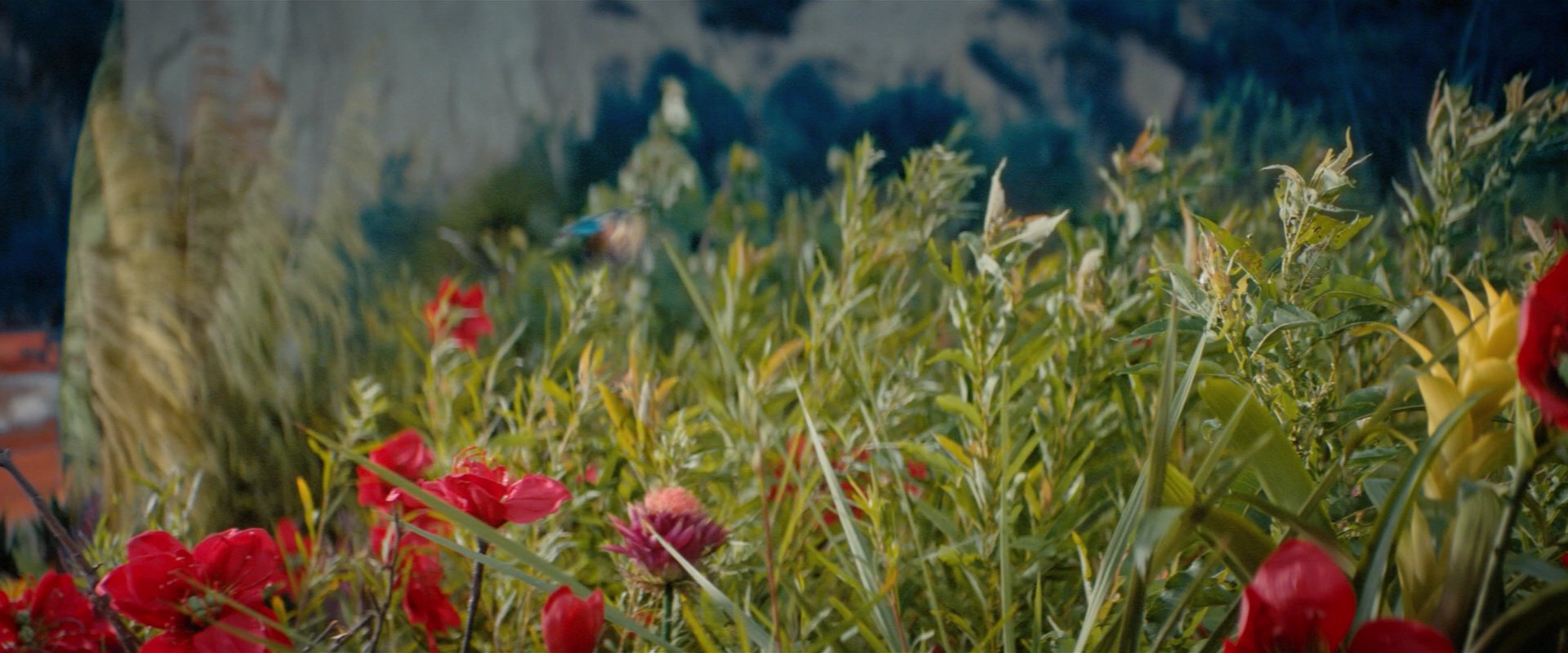 extant_StarTrekDiscovery_2x06-TheSoundsOfThunder_00170.jpg