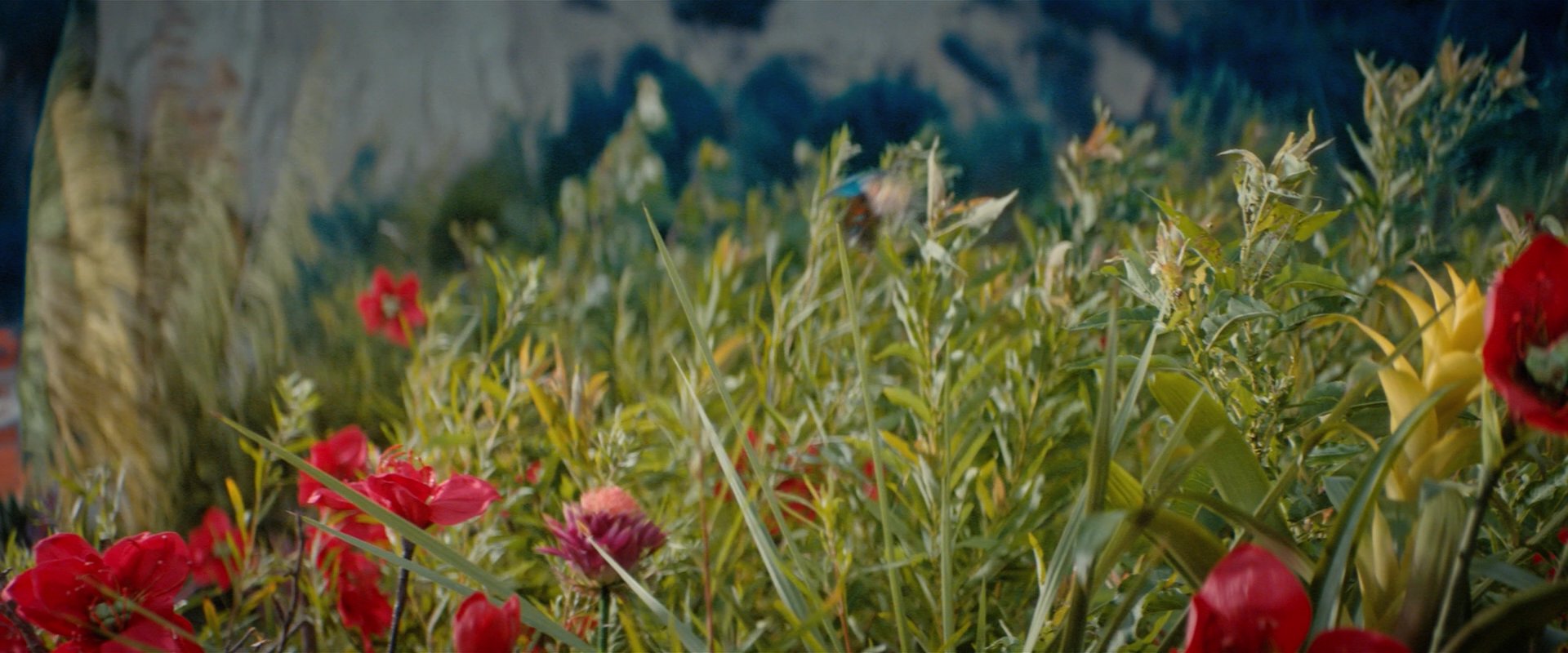 extant_StarTrekDiscovery_2x06-TheSoundsOfThunder_00171.jpg