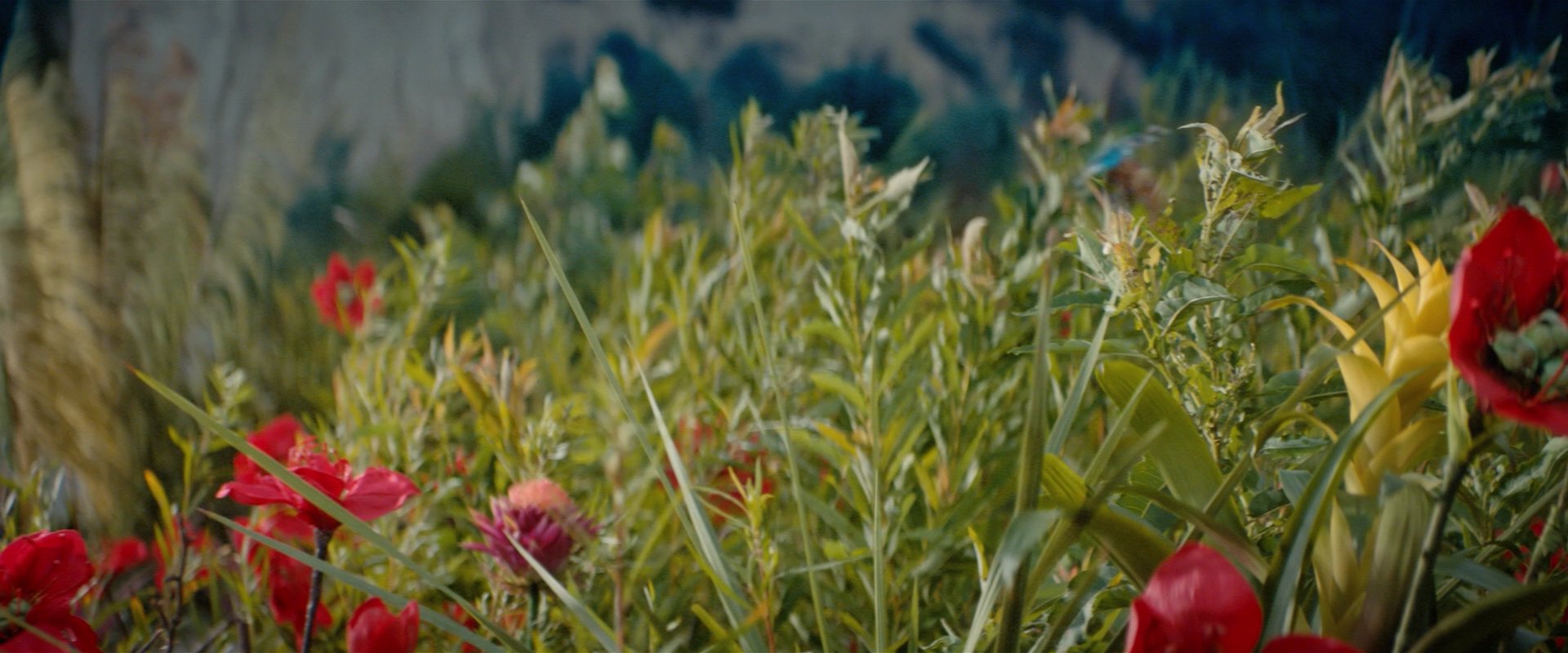 extant_StarTrekDiscovery_2x06-TheSoundsOfThunder_00172.jpg
