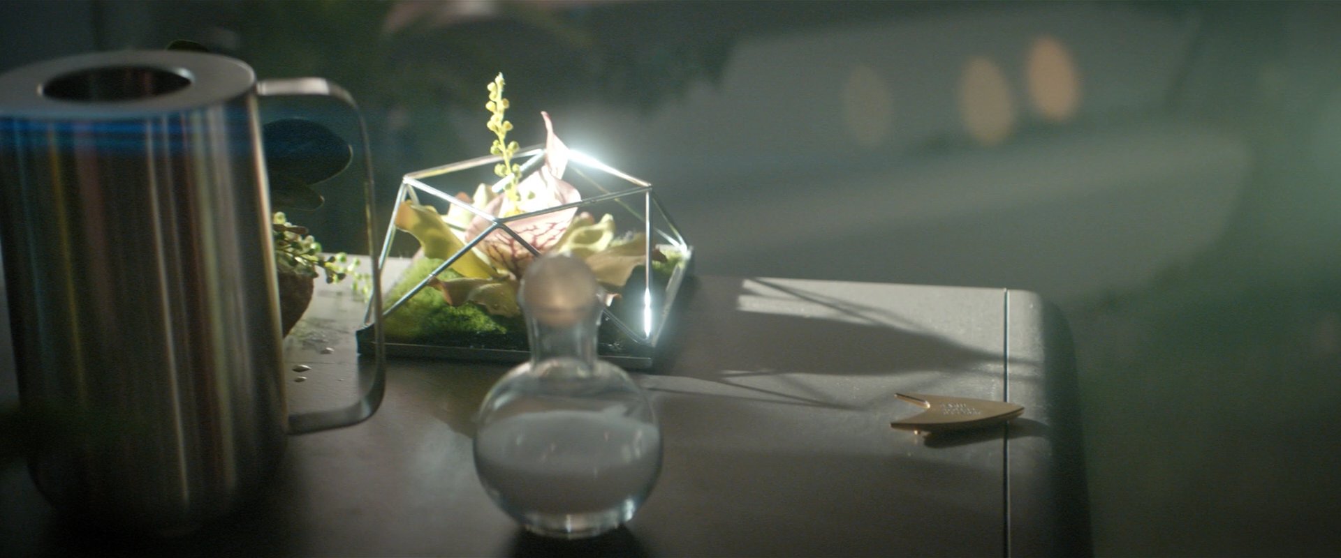 extant_StarTrekDiscovery_2x06-TheSoundsOfThunder_00195.jpg