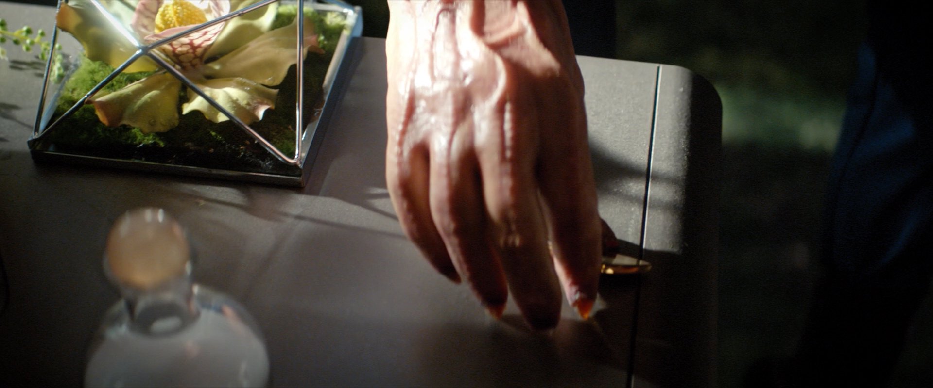 extant_StarTrekDiscovery_2x06-TheSoundsOfThunder_00202.jpg