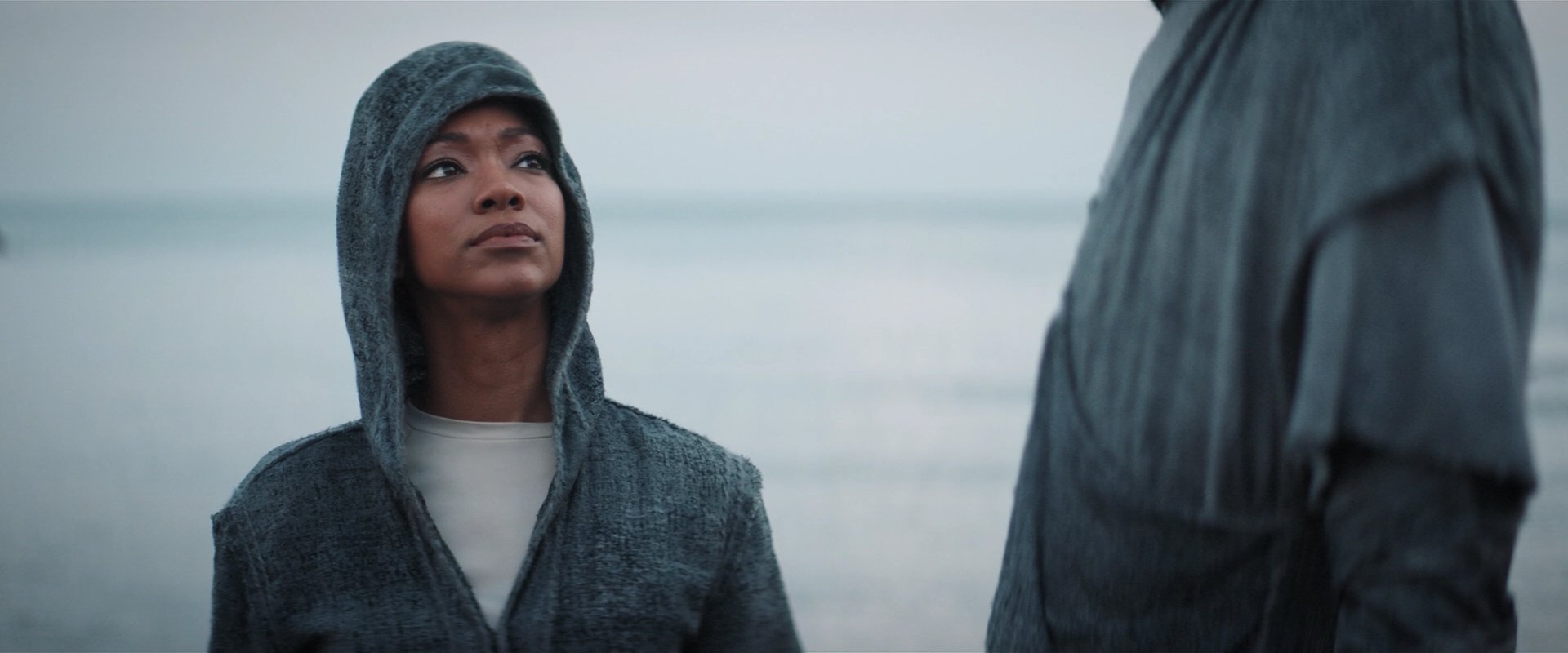 extant_StarTrekDiscovery_2x06-TheSoundsOfThunder_02105.jpg