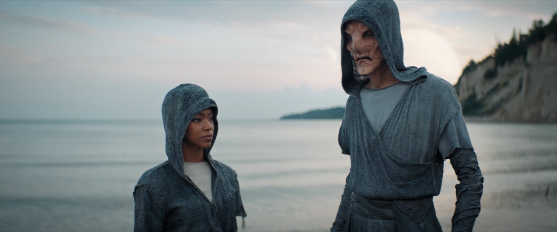 extant_StarTrekDiscovery_2x06-TheSoundsOfThunder_02121.jpg