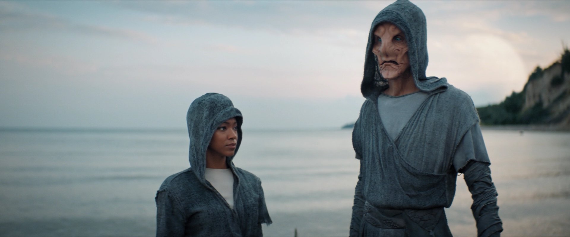 extant_StarTrekDiscovery_2x06-TheSoundsOfThunder_02123.jpg