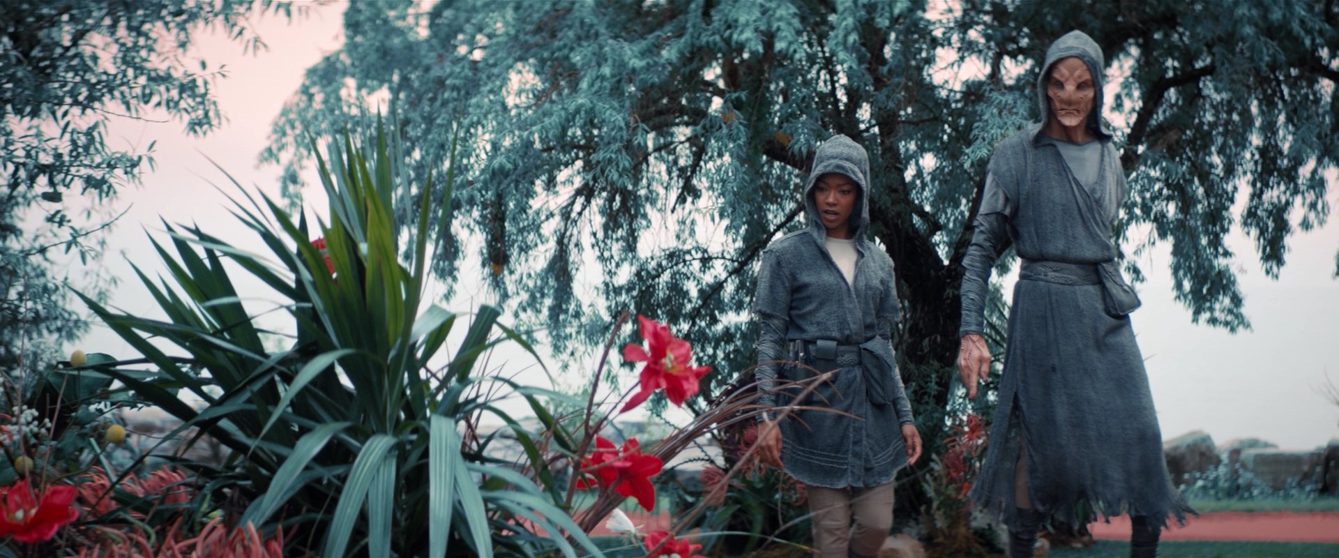 extant_StarTrekDiscovery_2x06-TheSoundsOfThunder_02246.jpg