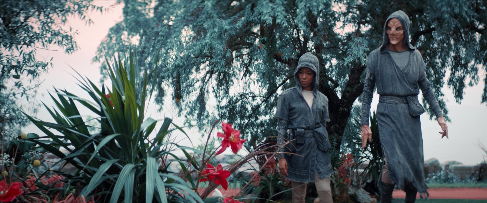 extant_StarTrekDiscovery_2x06-TheSoundsOfThunder_02247.jpg