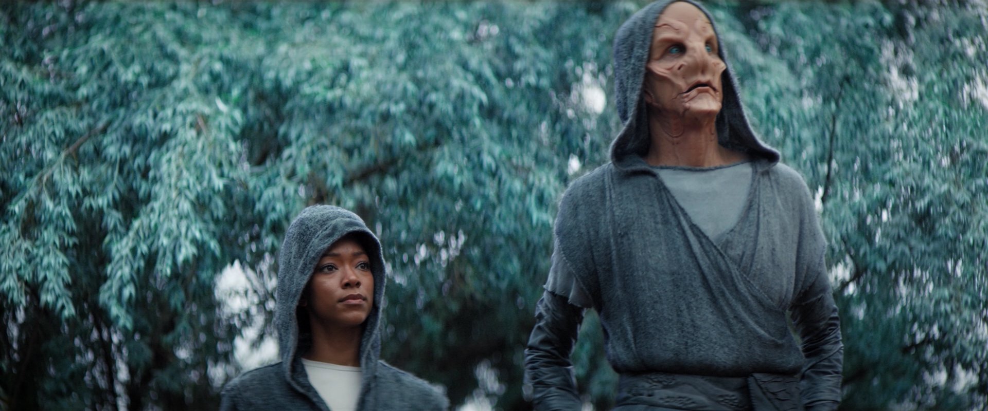 extant_StarTrekDiscovery_2x06-TheSoundsOfThunder_02277.jpg