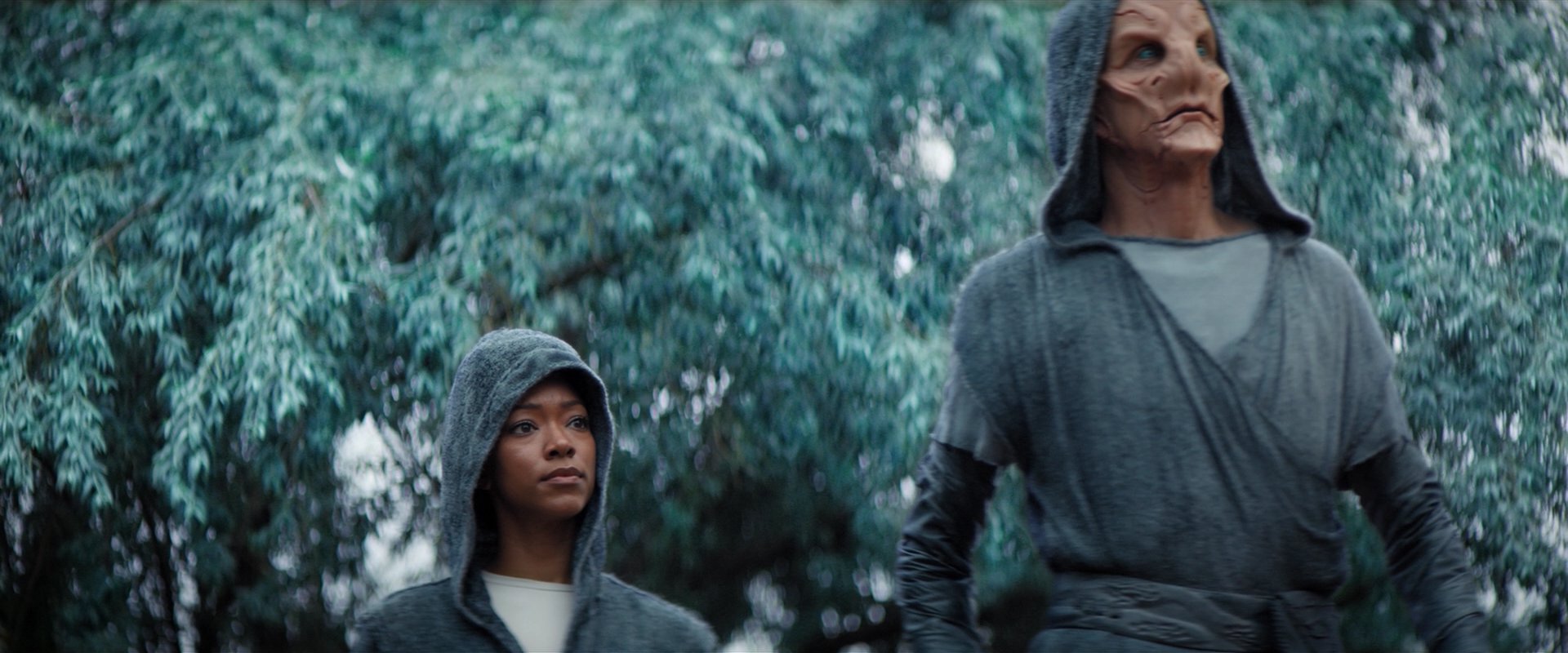 extant_StarTrekDiscovery_2x06-TheSoundsOfThunder_02278.jpg