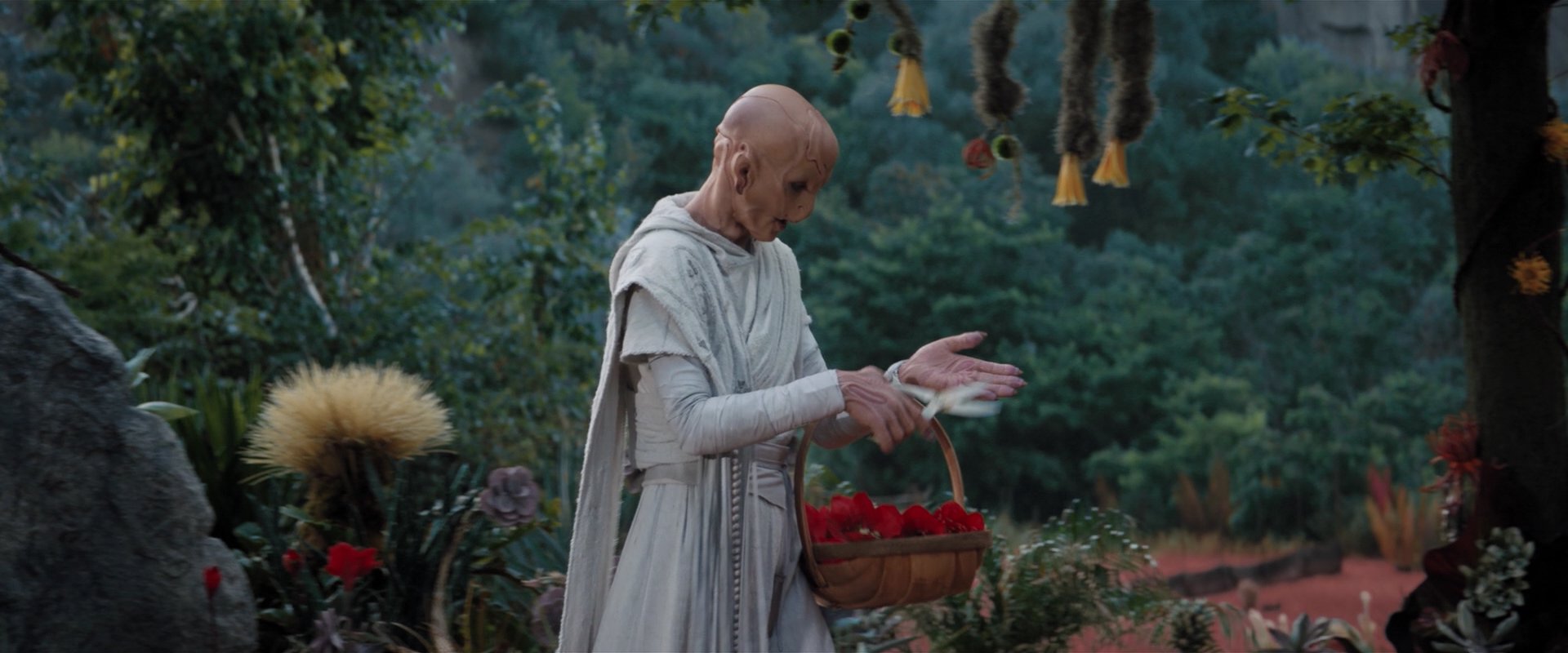 extant_StarTrekDiscovery_2x06-TheSoundsOfThunder_02299.jpg