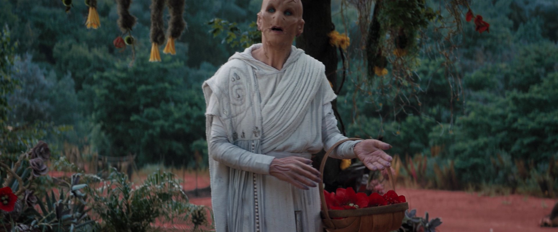extant_StarTrekDiscovery_2x06-TheSoundsOfThunder_02309.jpg
