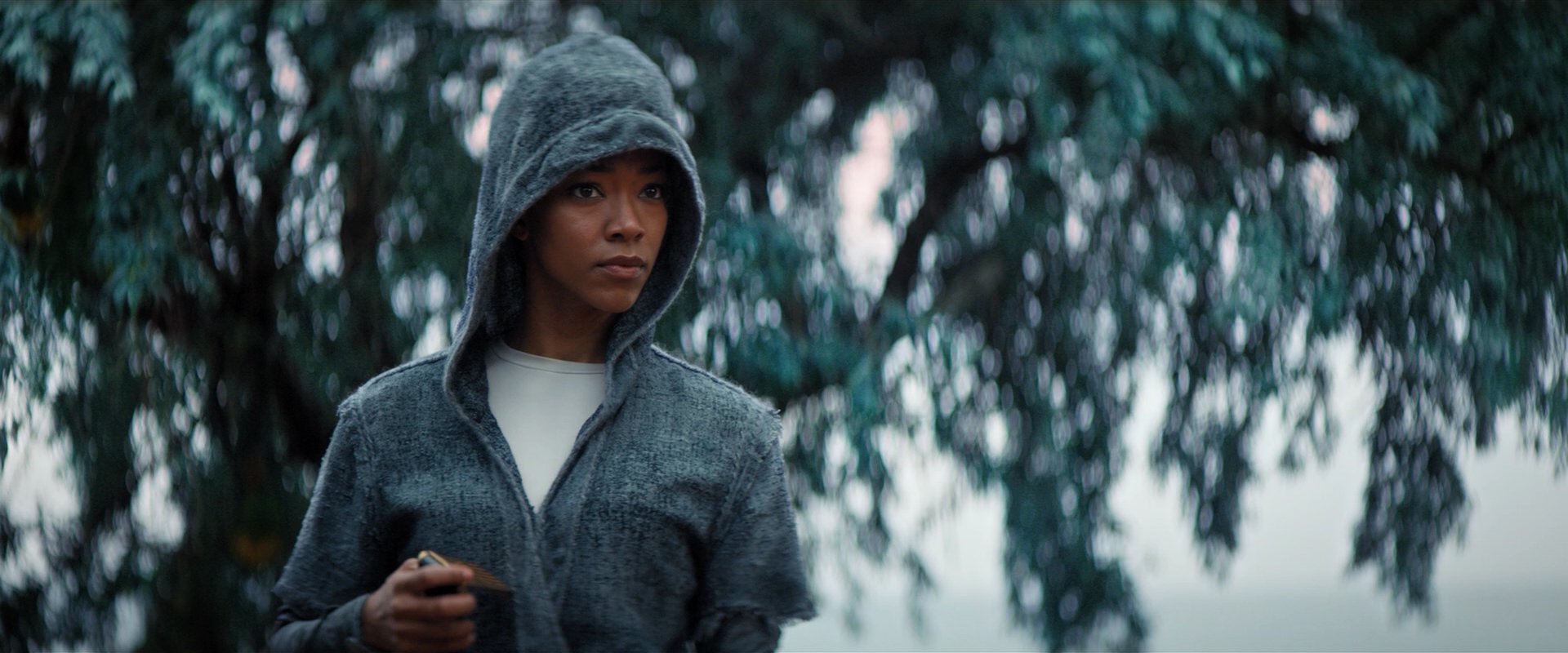 extant_StarTrekDiscovery_2x06-TheSoundsOfThunder_02316.jpg