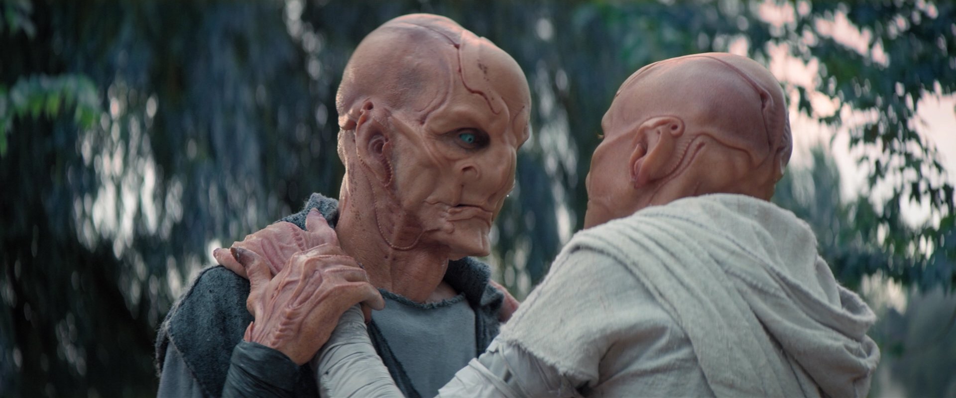 extant_StarTrekDiscovery_2x06-TheSoundsOfThunder_02365.jpg