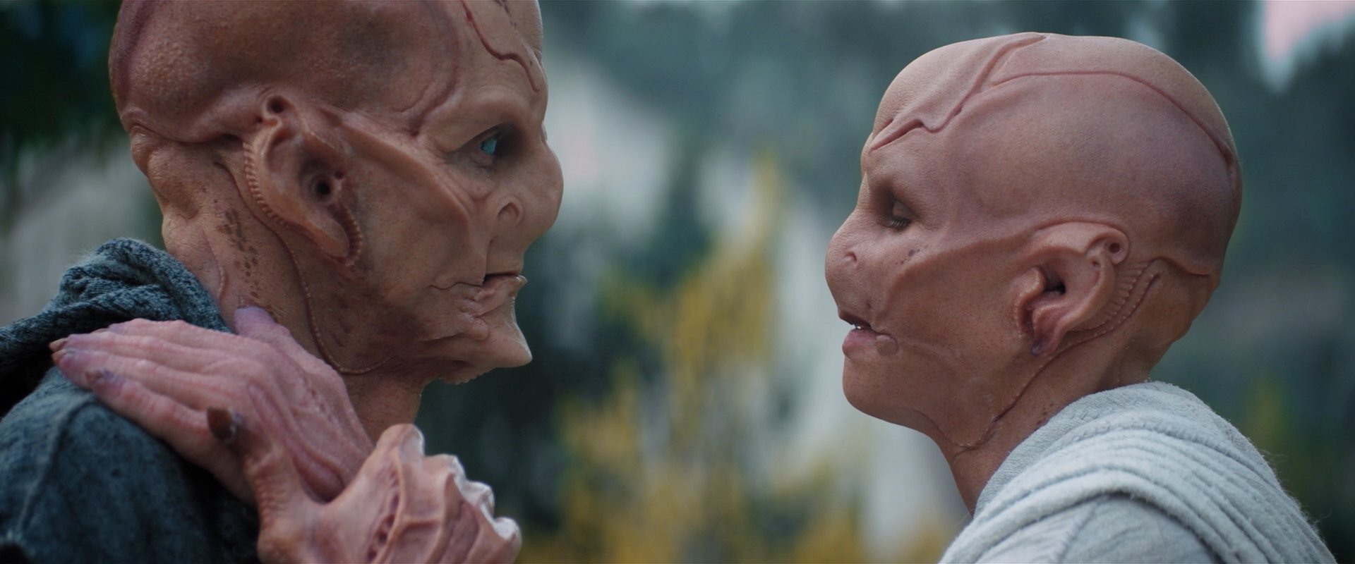 extant_StarTrekDiscovery_2x06-TheSoundsOfThunder_02378.jpg