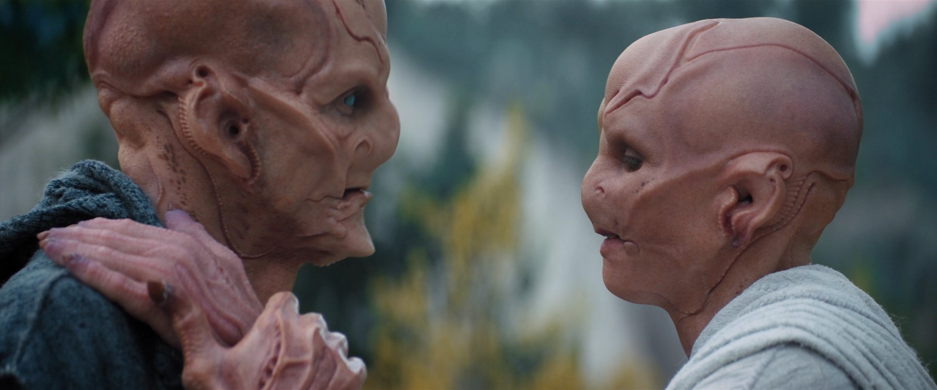 extant_StarTrekDiscovery_2x06-TheSoundsOfThunder_02379.jpg