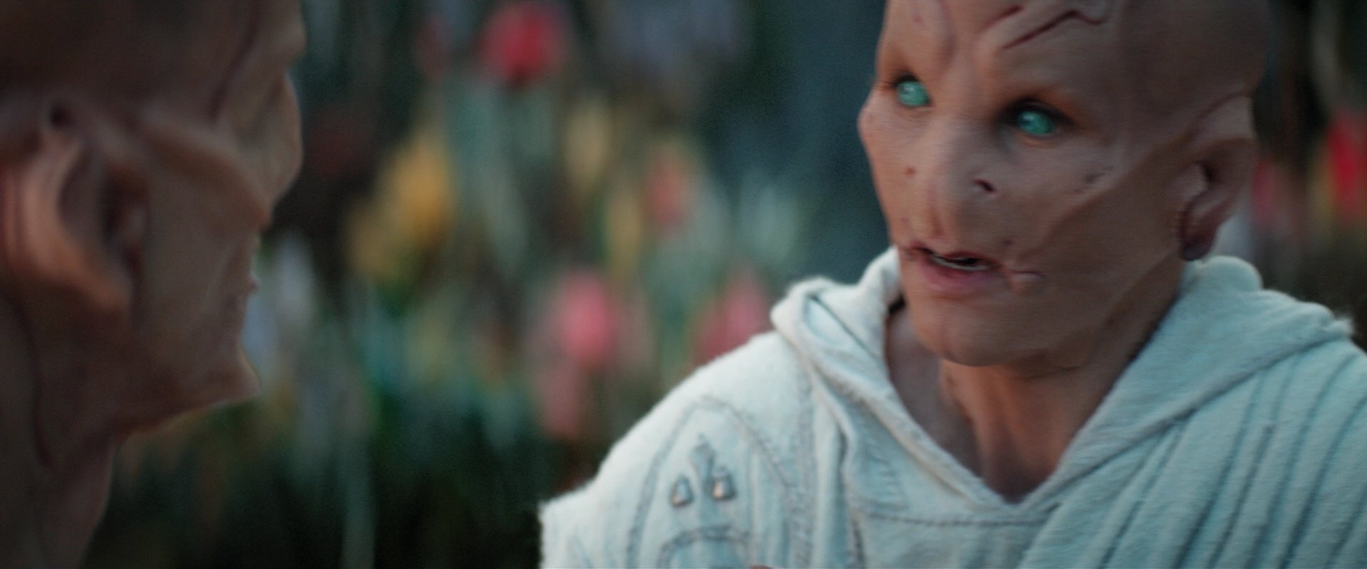 extant_StarTrekDiscovery_2x06-TheSoundsOfThunder_02398.jpg