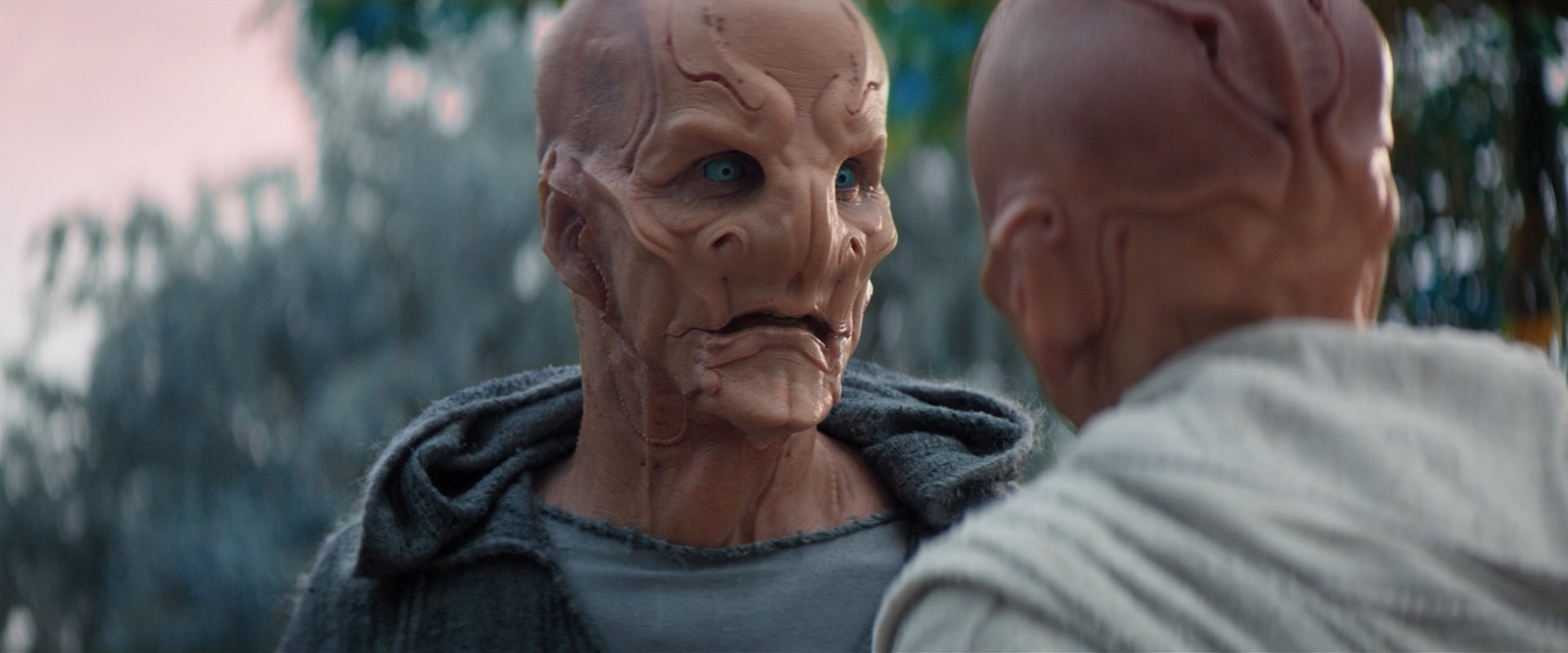 extant_StarTrekDiscovery_2x06-TheSoundsOfThunder_02426.jpg