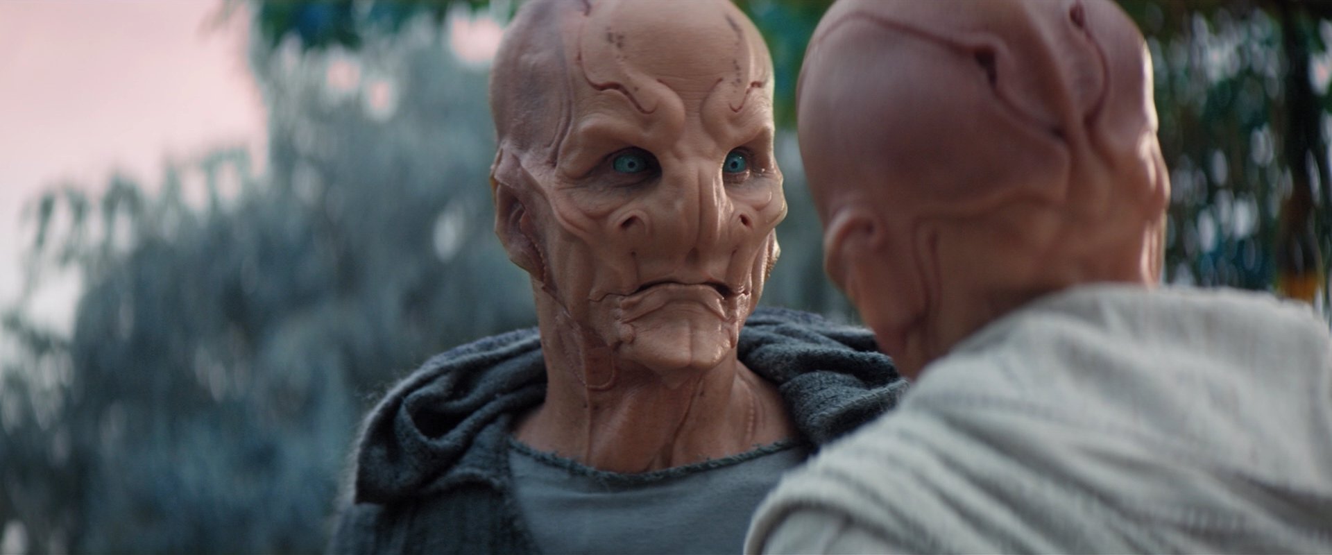 extant_StarTrekDiscovery_2x06-TheSoundsOfThunder_02427.jpg