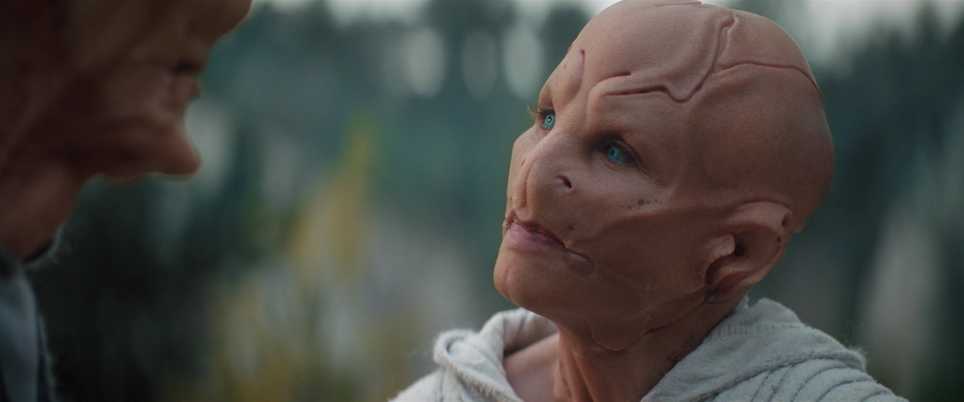 extant_StarTrekDiscovery_2x06-TheSoundsOfThunder_02428.jpg