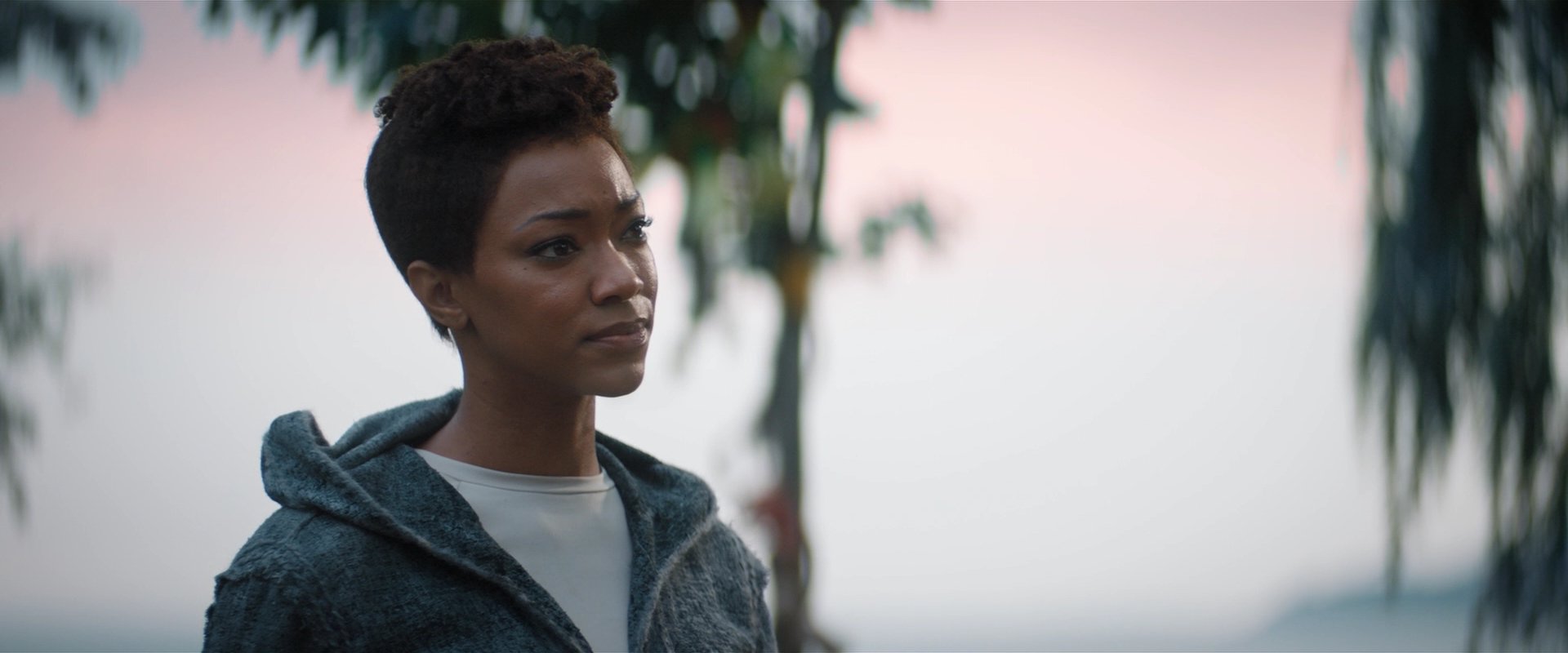extant_StarTrekDiscovery_2x06-TheSoundsOfThunder_02449.jpg